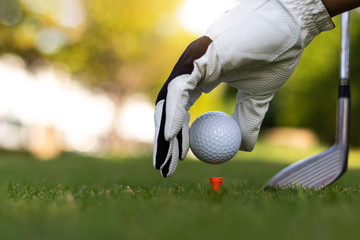 What are the Basics of Golf?